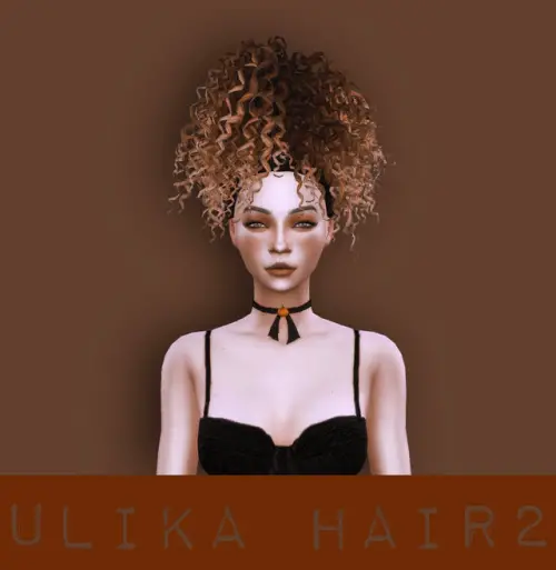 Sims 2 afro hair s