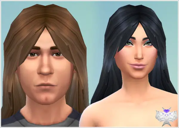 David Sims: Long Hairstyle new mesh for Sims 4
