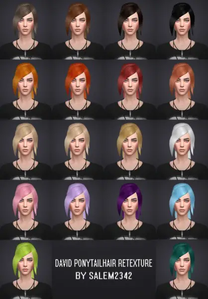 Salem2342: David Sims Ponytail hairstyle retextured for Sims 4
