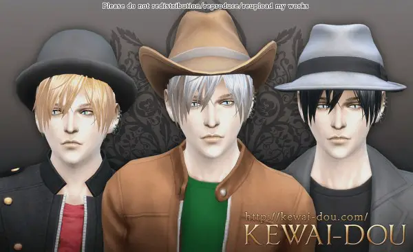 KEWAI DOU: Contemporary hairstyle 3kan4on for Sims 4