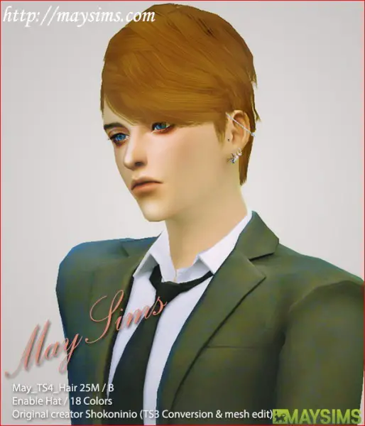 MAY Sims: May hairstyle 25M /B for Sims 4