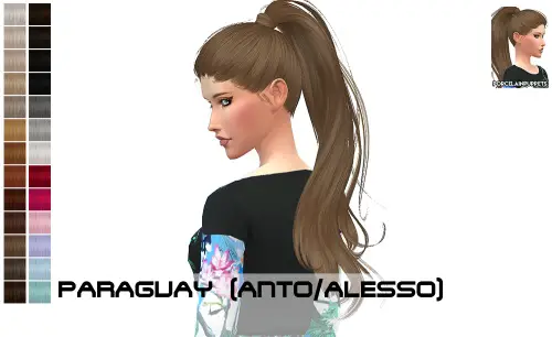 Porcelain Warehouse: Anto`s Paraguay Hair Retextured for Sims 4