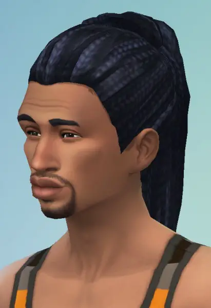 Birksches sims blog: Men Dreads hair for Sims 4