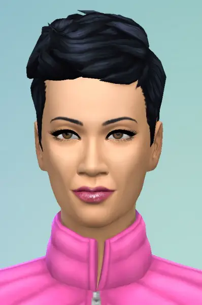Birksches sims blog: Short Prickley Hair for Sims 4