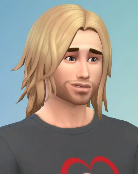 Birksches sims blog: Texture hair for him for Sims 4