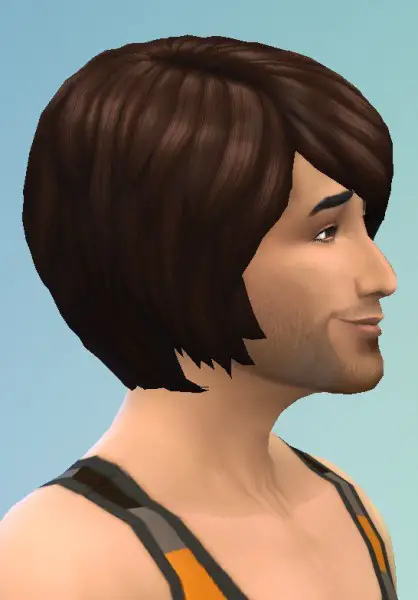 Birksches sims blog: Bob hair for mens for Sims 4