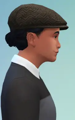 Birksches sims blog: Big Bun Dreads hair for him for Sims 4