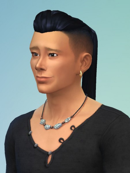Birksches sims blog: Lim Hair for him for Sims 4