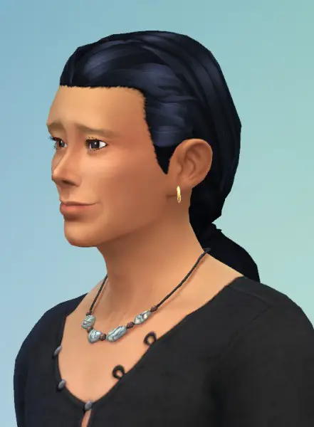 Birksches sims blog: Adams Ponytail & Little Adams Ponytail hairs for Sims 4