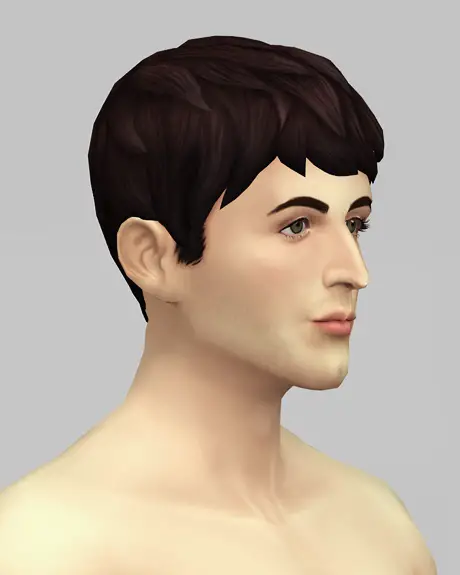 Rusty Nail: Beatle Boy`s hair V1 for Sims 4