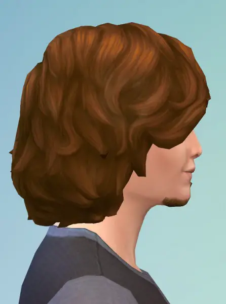 Birksches sims blog: Wilderness Hair for Sims 4