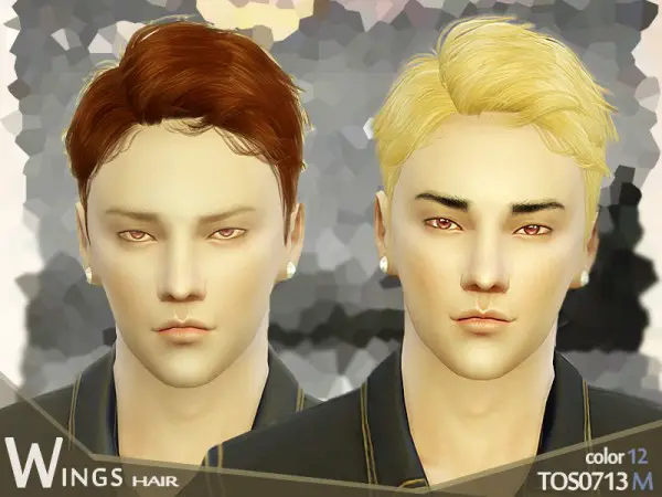 The Sims Resource: Hair TOS0713 for him by wingssims for Sims 4