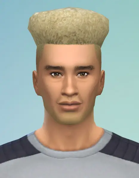 Birksches sims blog: Like Bart Hair for Sims 4