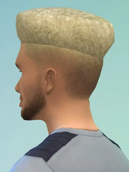 Birksches sims blog: Like Bart Hair for Sims 4