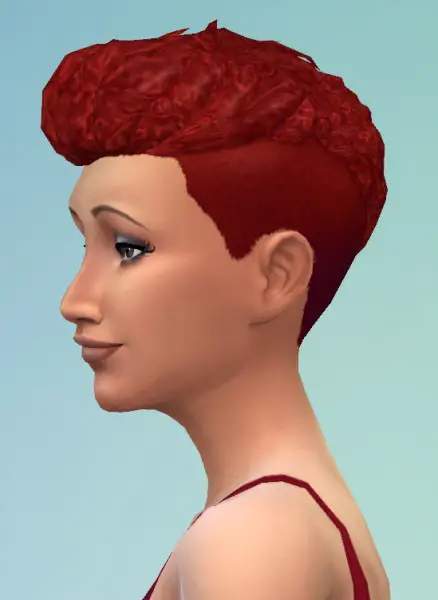 Birksches sims blog: Short Afro Curls hair for Sims 4