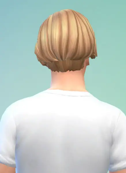 Birksches sims blog: Willeby Hair for Sims 4