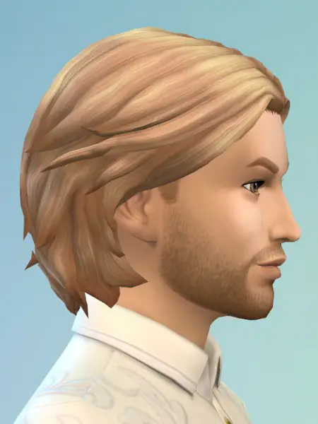 Birksches sims blog: Ludwig II Hair for him for Sims 4