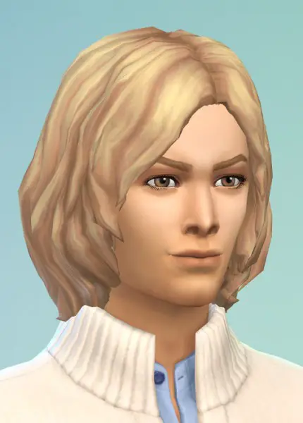 Birksches sims blog: Boymeets Girl Hairstyle for Sims 4