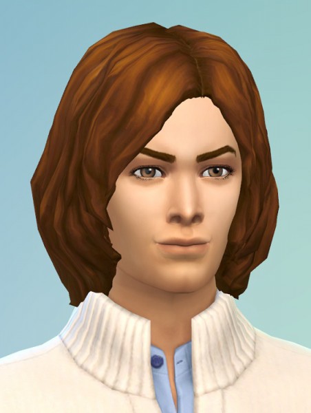 Birksches sims blog: Boymeets Girl Hairstyle for Sims 4