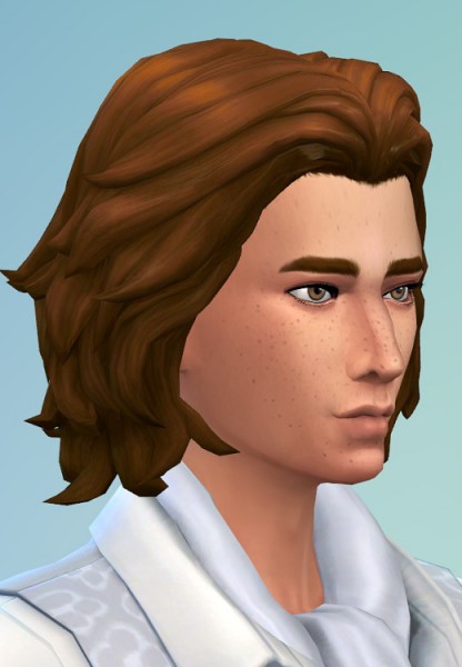 Birksches sims blog: City Gentlemen Hair for Sims 4