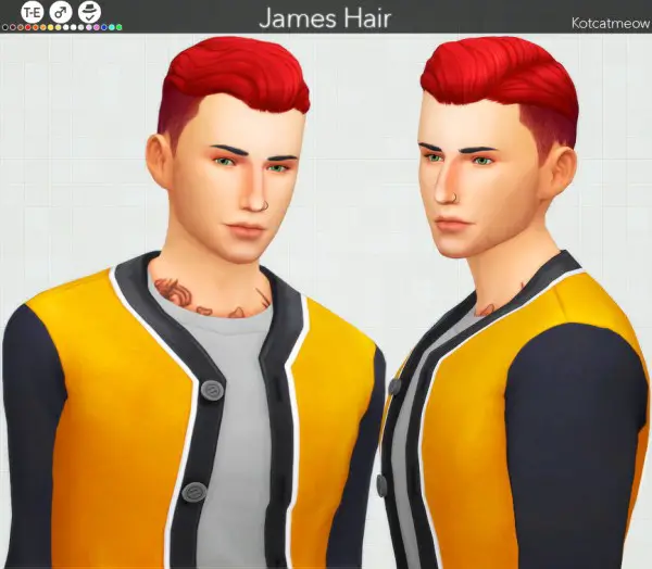 Kot Cat: James hair retextured for Sims 4