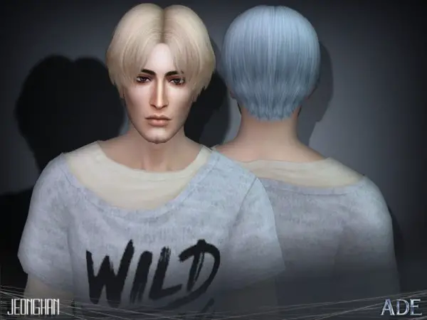 The Sims Resource: Jeonghan hair by Ade Darma for Sims 4