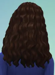 Birksches sims blog: Curly Long Middle Part Hair retextured for Sims 4