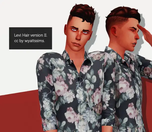 Wyatts Sims: Levi hair retextured for him for Sims 4