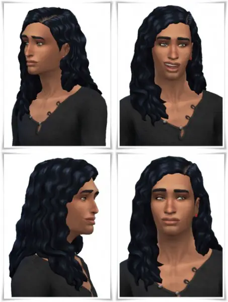 Birksches sims blog: Aaron’s Long Curls hair for Sims 4
