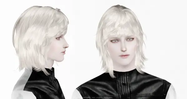 Twinklestar: NewSea`s Hair J161 + J172 Mix Edit for Sims 4
