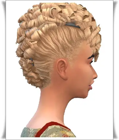 Birksches sims blog: Marci caurs hair for Sims 4