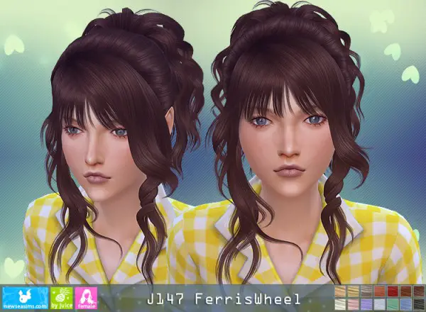 NewSea: J147 Feris Weel for Sims 4