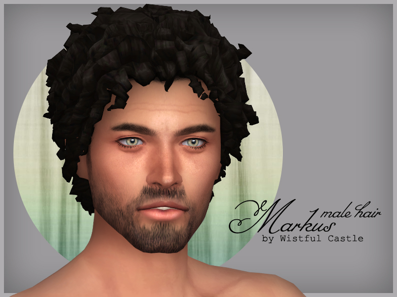 sims 4 shayla male curly hair cc