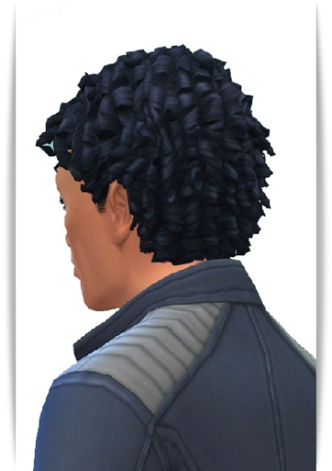 Birksches sims blog: Shorty Curls Hair for Sims 4