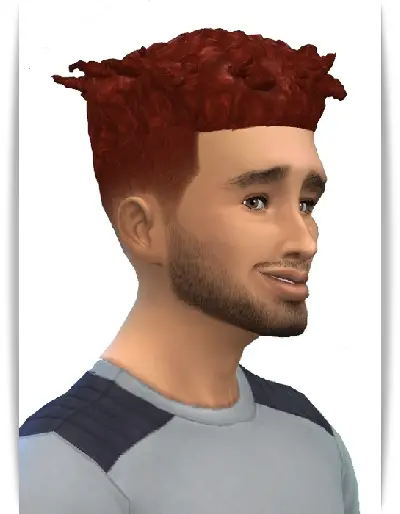 Birksches sims blog: Real Afro Bob hair for Sims 4