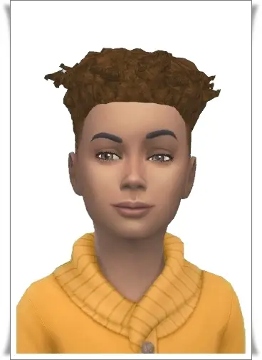 Birksches sims blog: Real Afro Hair Kids for Sims 4
