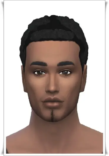 The Sims 4 Custom Content Hair Afro Telelasopa