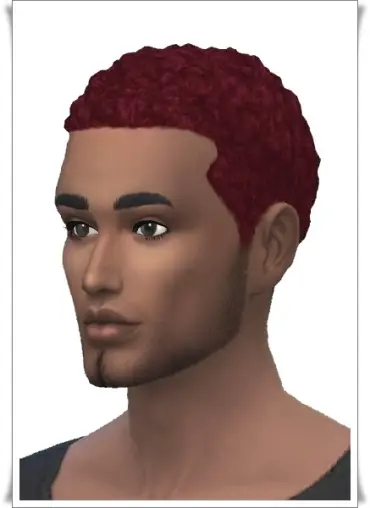 Birksches sims blog: Holyday Short Afro Hair retextured for Sims 4