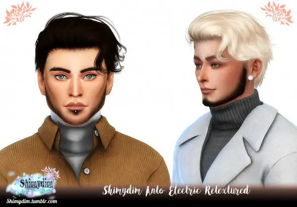 Shimydim: Anto`s Electric Hair Retextured for Sims 4