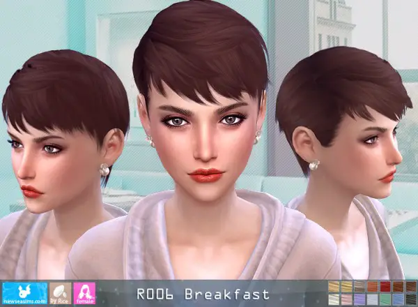 NewSea: Roo6 Breakfeast Hair for Sims 4