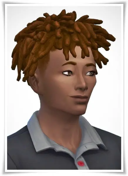Birksches sims blog: Chad Dreads for Sims 4