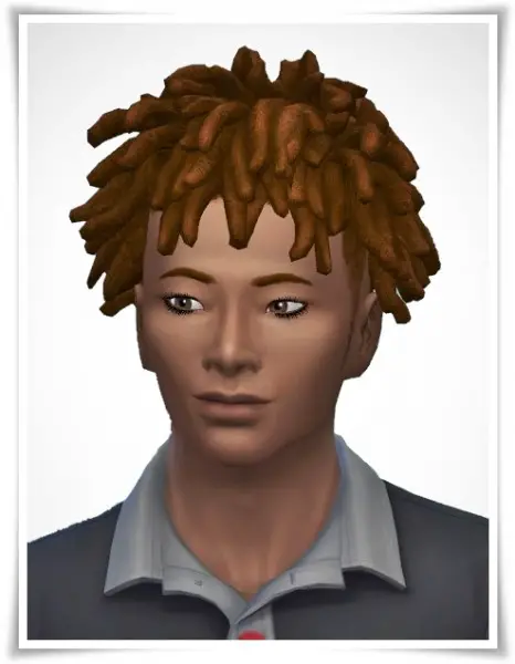 Birksches sims blog: Chad Dreads for Sims 4