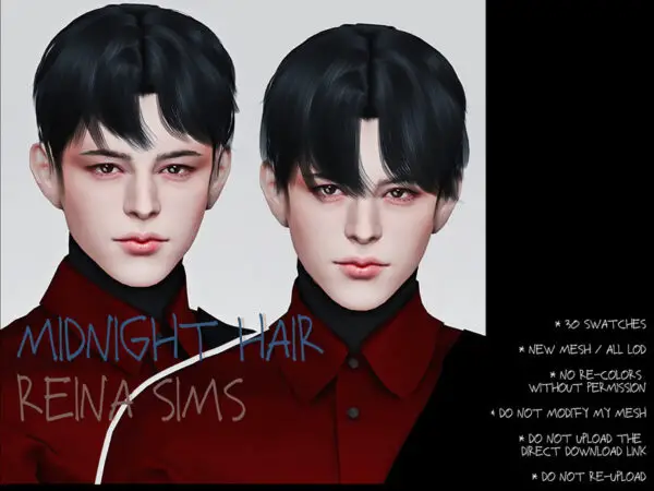 The Sims Resource: Midnight hair v2 by Reina Dambi for Sims 4