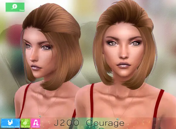 NewSea: J200 Courage Free Hairstyle for Sims 4