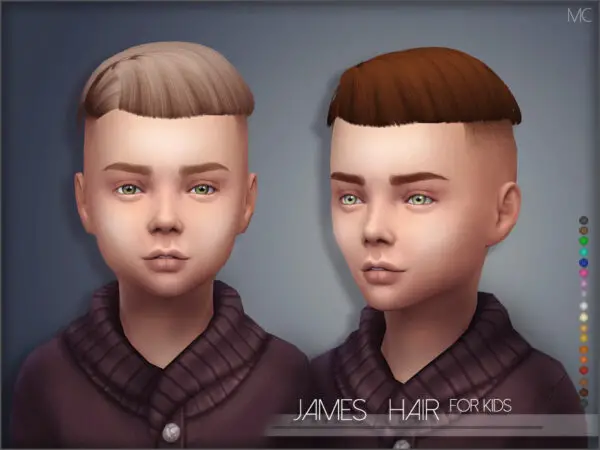 The Sims Resource: James Hair by Mathcope for Sims 4