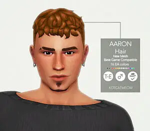 Aaron Hair