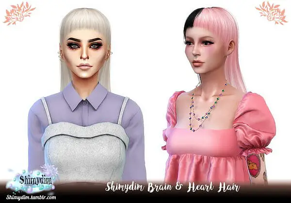 Brain and Heart Hairstyle ~ Shimydim for Sims 4
