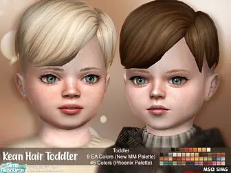 Kean Hair Toddler by MSQSIMS