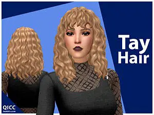 Tay Hairstyle by qicc