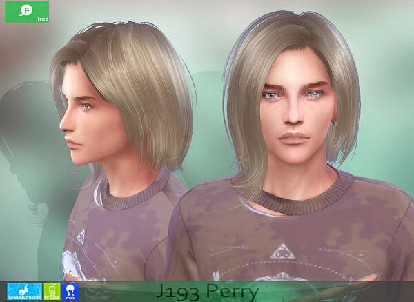 Perry Hairstyle(male) ~ NewSea for Sims 4
